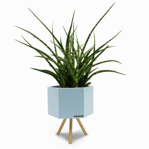 edynamis-produto-vaso-grande